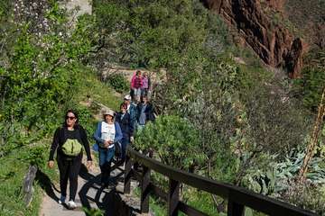 El Cabildo organiza recorridos por este monumento natural para dar a conocer su historia y sus riquezas (Foto TA)